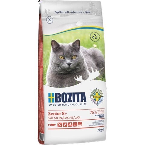 Katzenfutter Senior 8 Plus Grain free Salmon – 2 kg