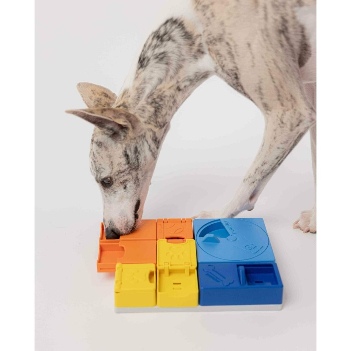 Interaktives Hunde Leckerlie Spielzeug mit individuellen Kombinations Möglichkeiten – Rainbow Set: 8 Teile, 15 Verstecke