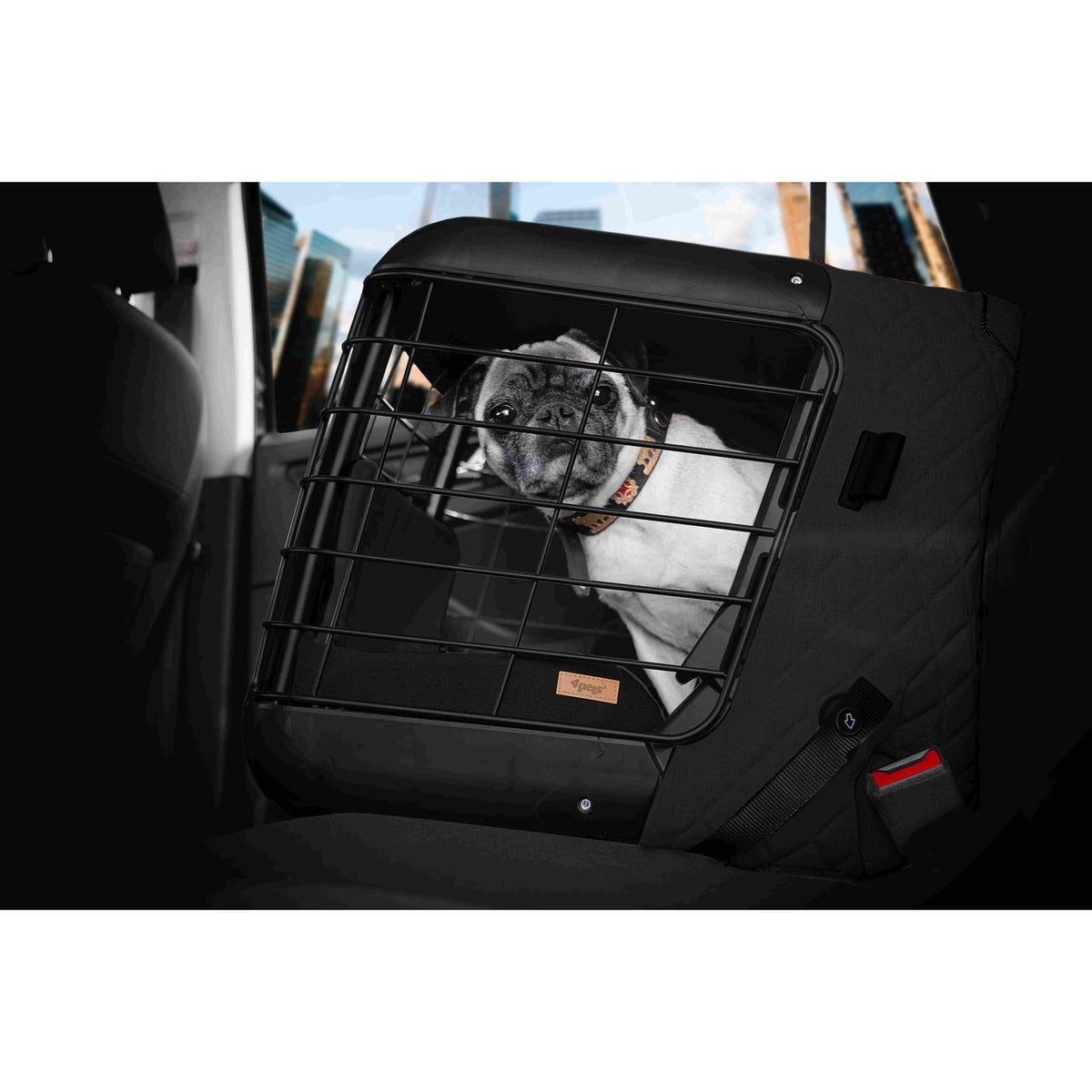 4Pets Dog Caree Hundebox Transportbox für Hunde