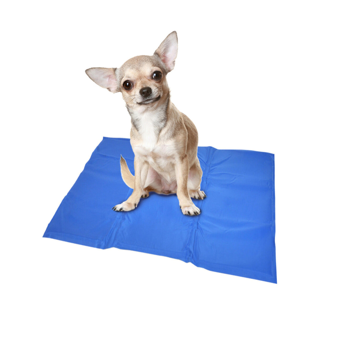 Kühlmatte für Hunde blau