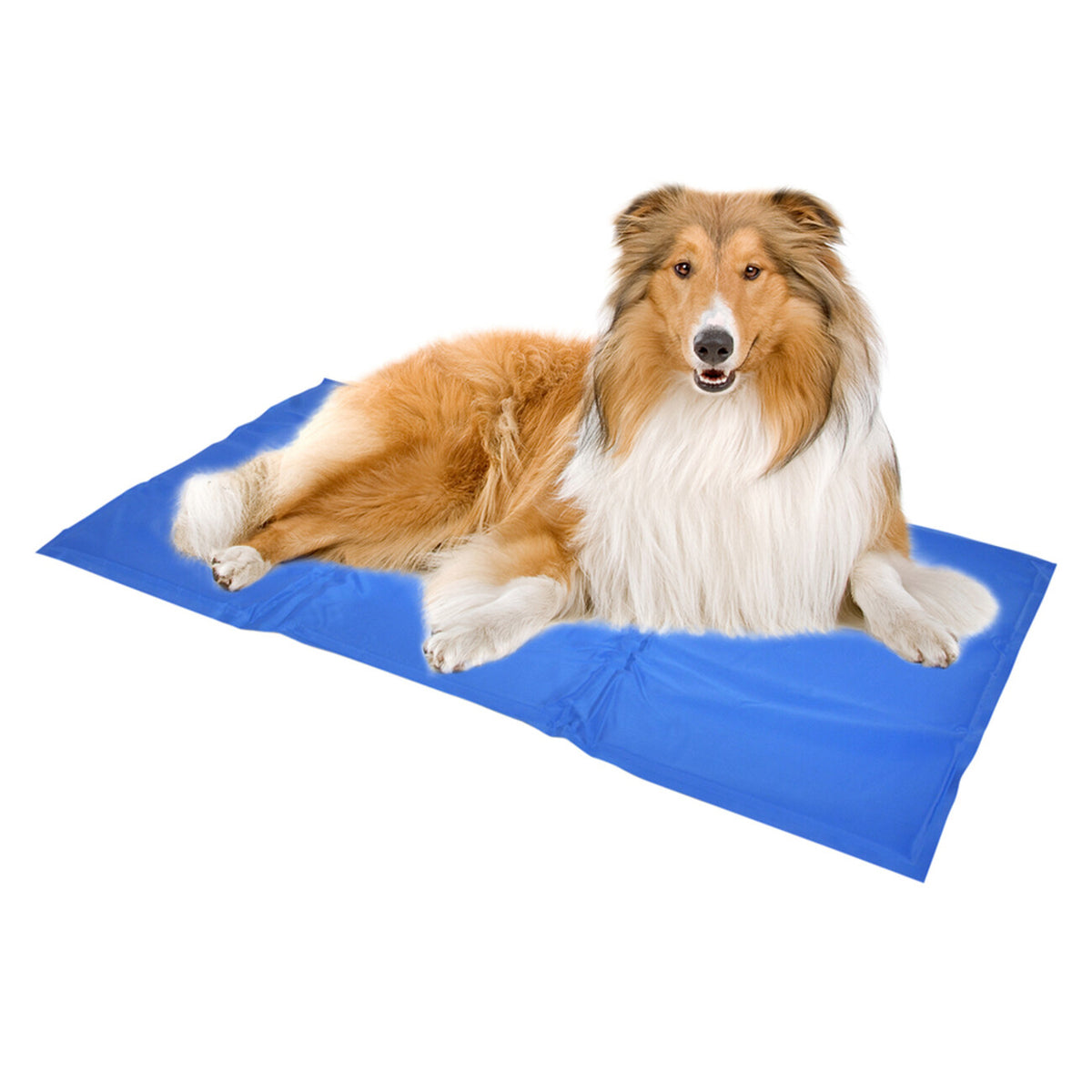 Kühlmatte für Hunde blau
