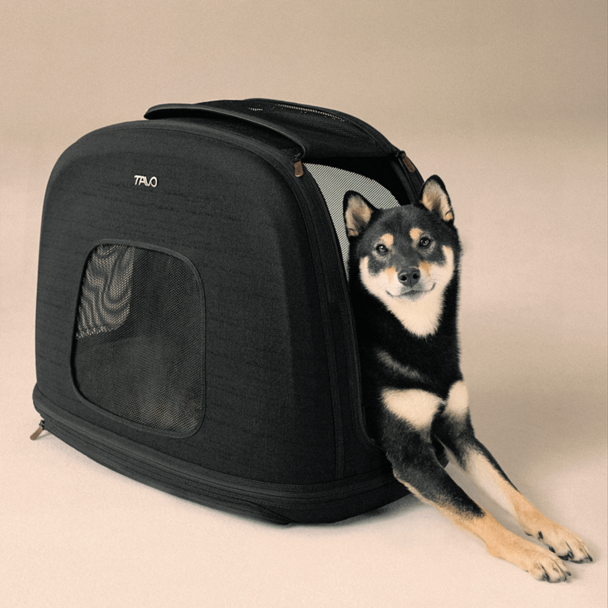 Crispin: Crashgetestete Transportbox für Hunde & Katzen 🐶🐱 – Größe M, Onyx