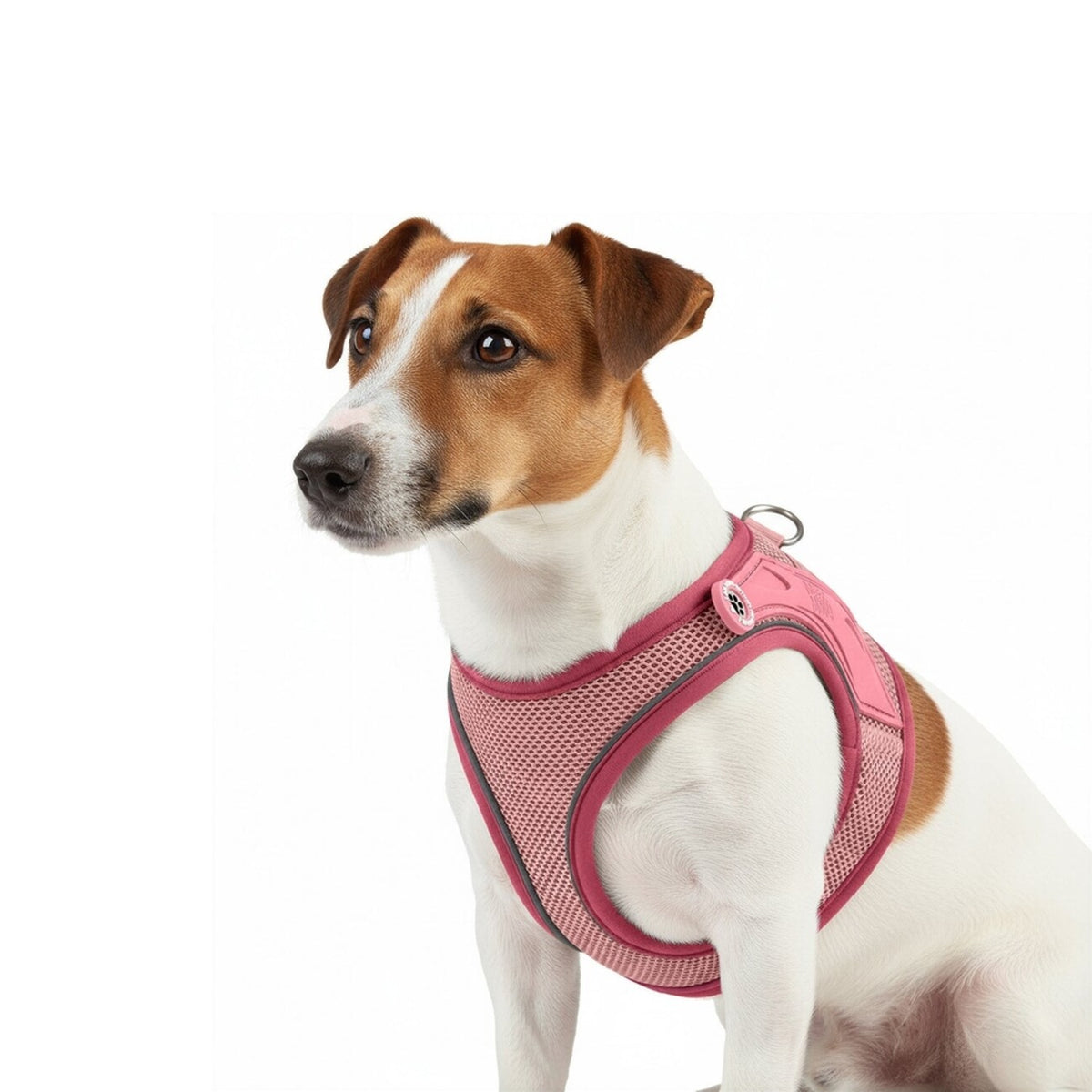 Max & Molly Matrix 2.0: Stylisches Air Vest Hundegeschirr für Deinen Liebling