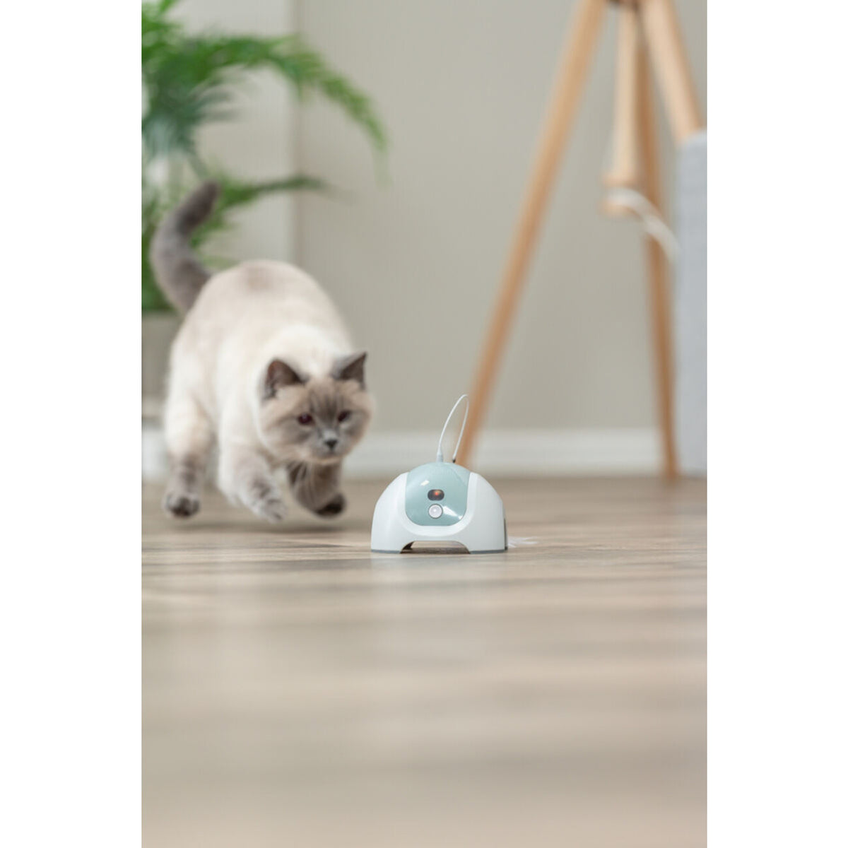 Katzenspielzeug Catch Me mit Motor und Fernbedienung – ø 15 × 21 cm