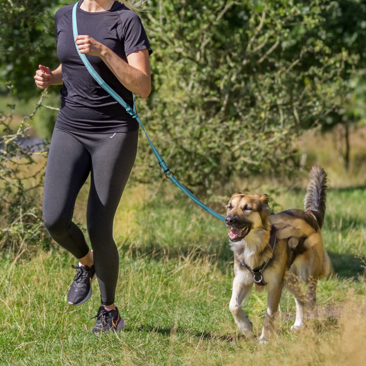 Trixie Hunde Joggingleine mit Ruckdämpfer – 1,33-1,80 m/20 mm, petrol/aqua
