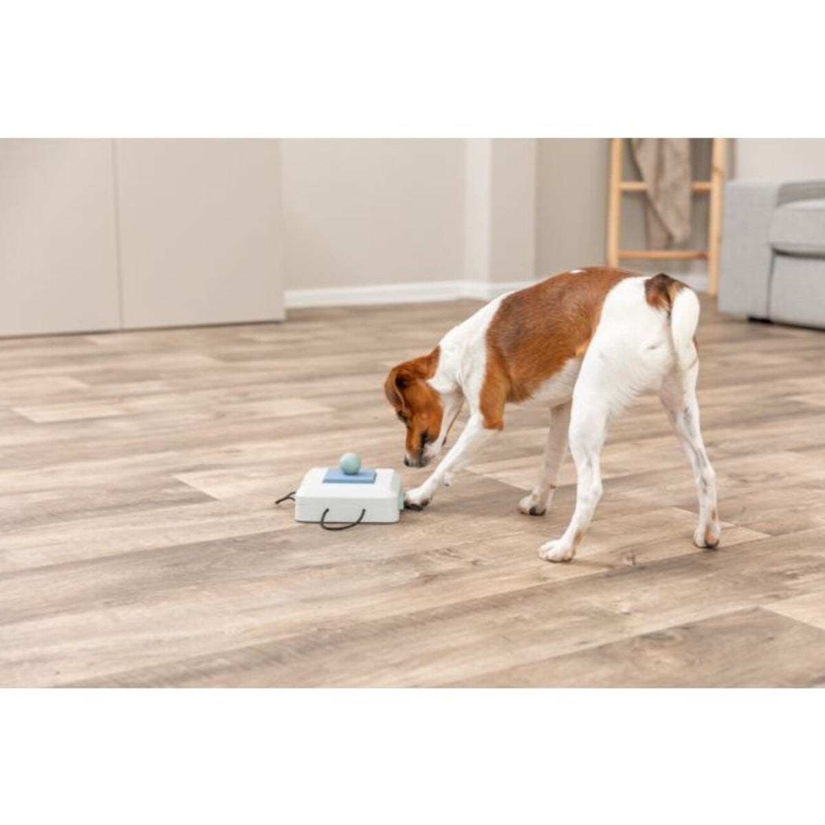 Dog Activity Strategiespiel Gamble Box für Hunde – 15 × 9 × 15 cm