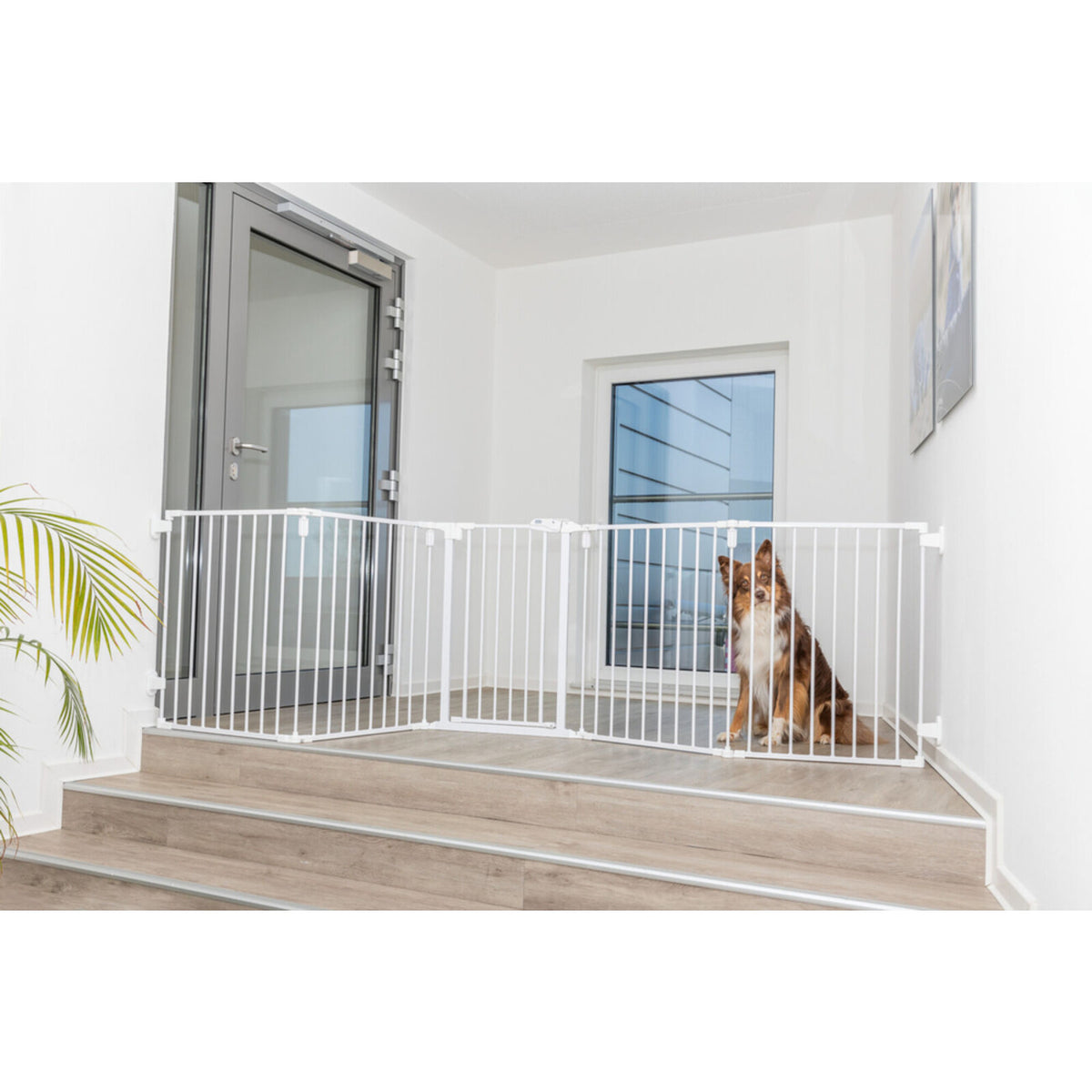 Absperrgitter, 5 Elemente, mit Tür, 62,5–300 × 76,5 cm – 62,5–300 × 76,5 cm