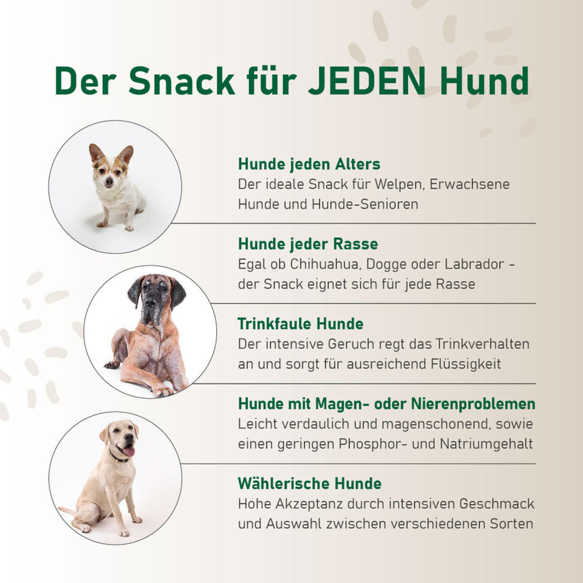 Probierpaket "Mix" - für jeden Hund! – 6er Mix Paket