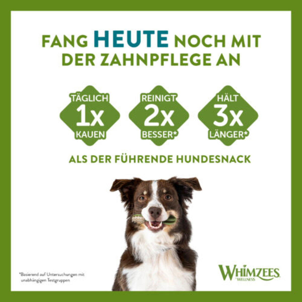 WHIMZEES® Zahnpflege Stix Hundesnack, lose