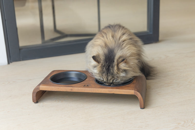 Designed By Lotte Holz Dinnerset Katze Melora â Stilvolle Futterstation aus Akazienholz
