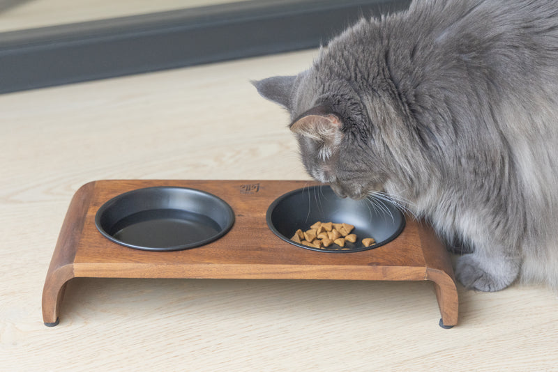 Designed By Lotte Holz Dinnerset Katze Melora â Stilvolle Futterstation aus Akazienholz