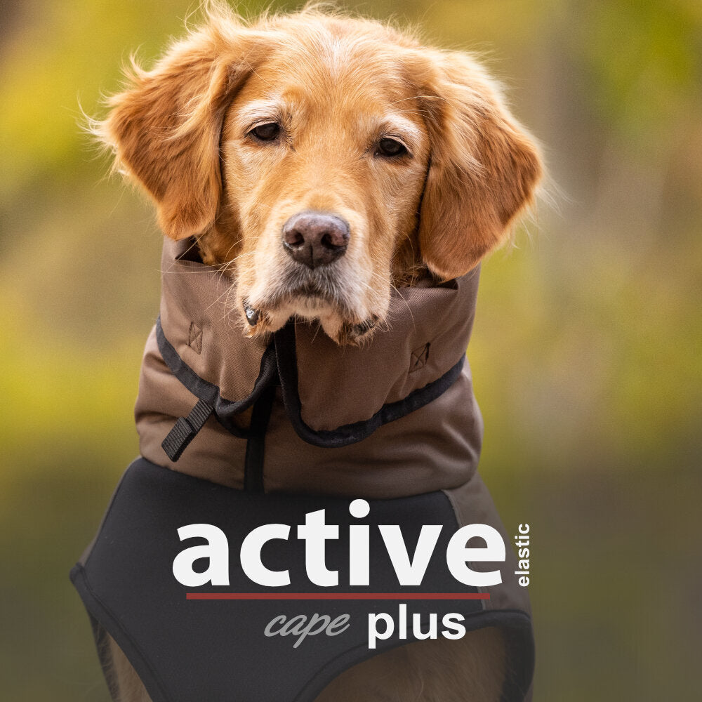 ActiveCape Elastic Plus Hundemantel