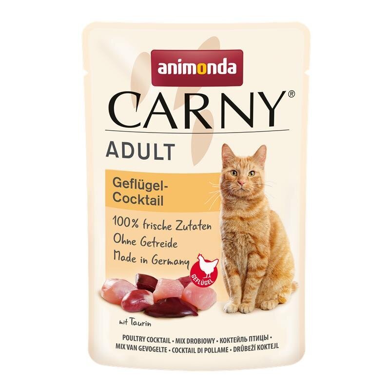 Katzen Nassfutter Carny Adult in Tütchen – Rind & Huhn, 12x85g