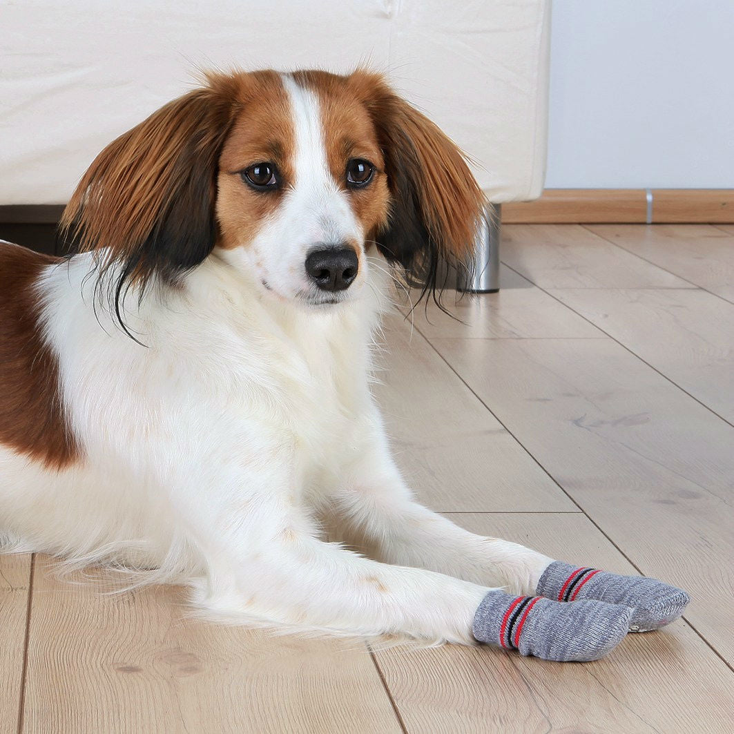 Anti Rutsch Hundesocken aus Baumwolle