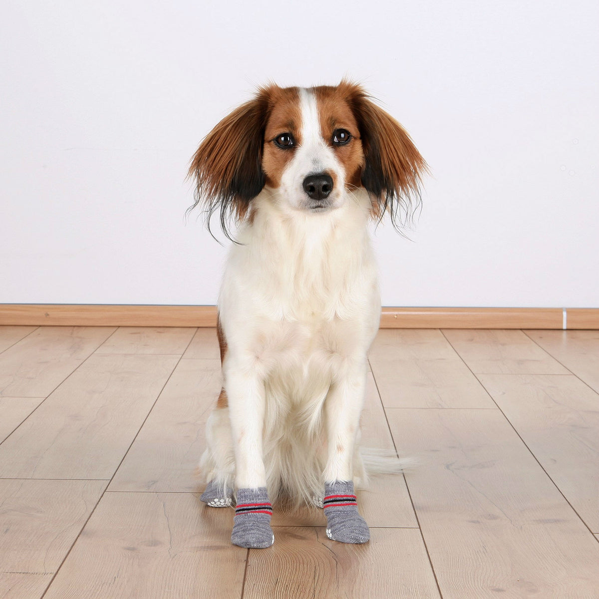 Anti Rutsch Hundesocken aus Baumwolle