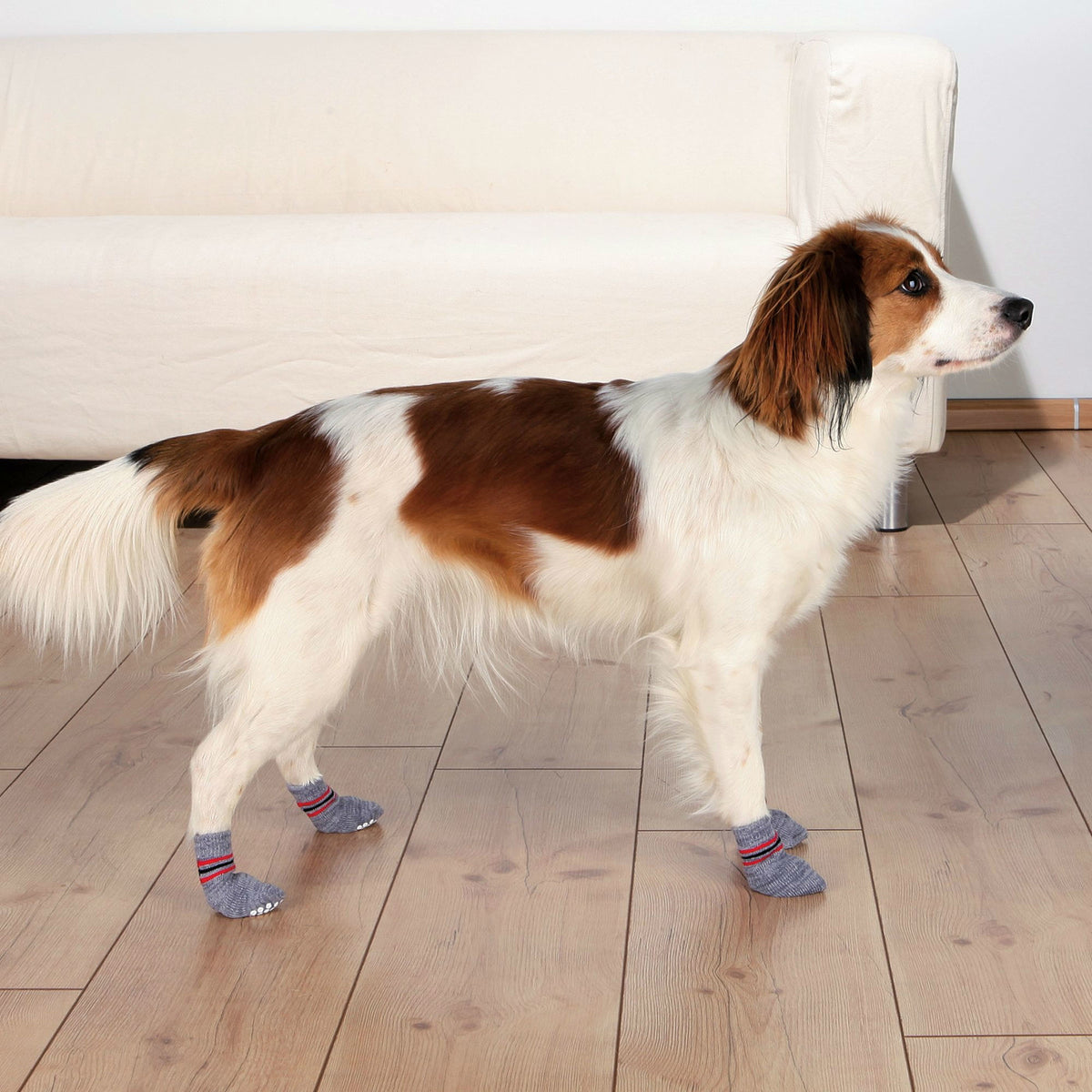 Anti Rutsch Hundesocken aus Baumwolle