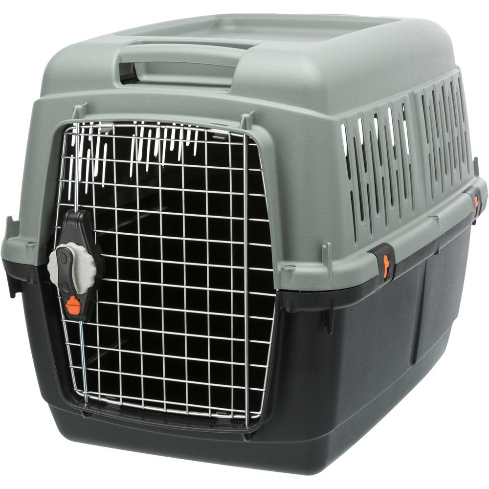 Be Eco Transportbox Flugbox Giona