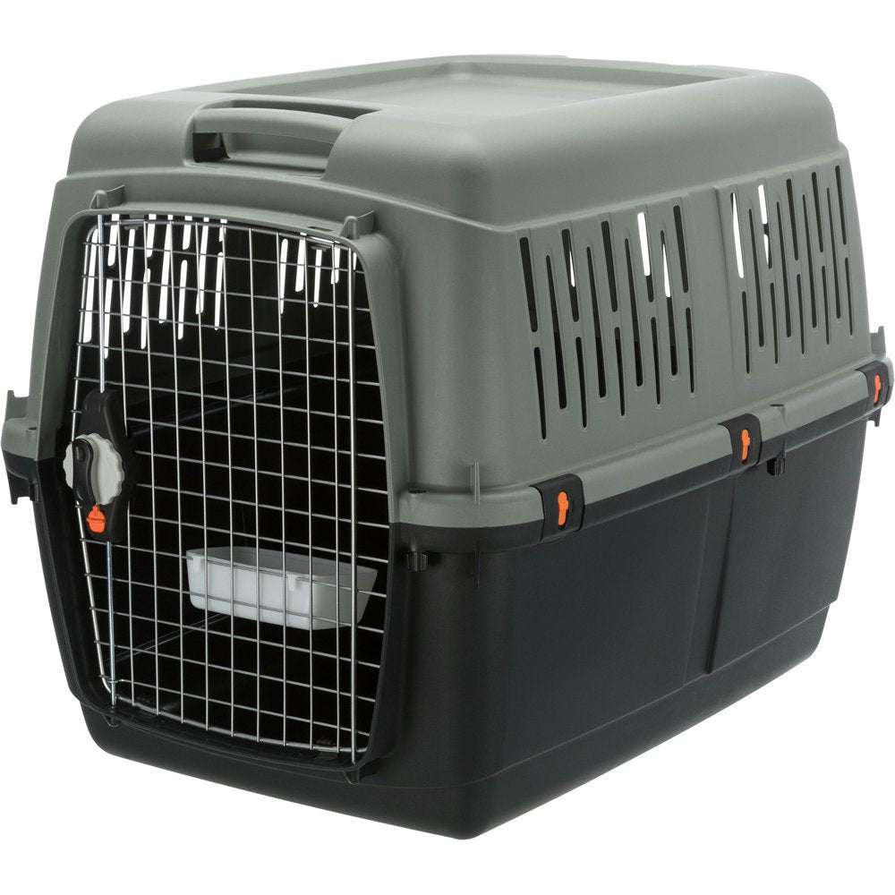 Be Eco Transportbox Flugbox Giona