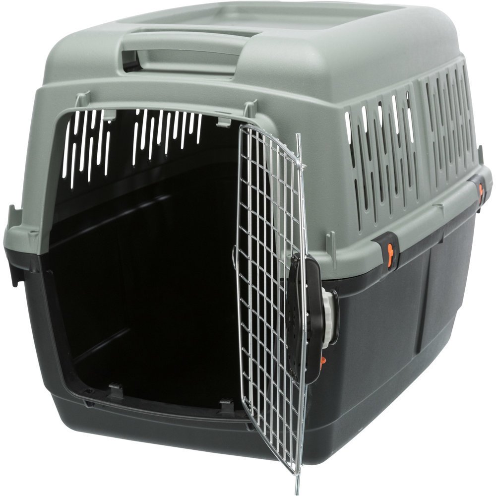 Be Eco Transportbox Flugbox Giona