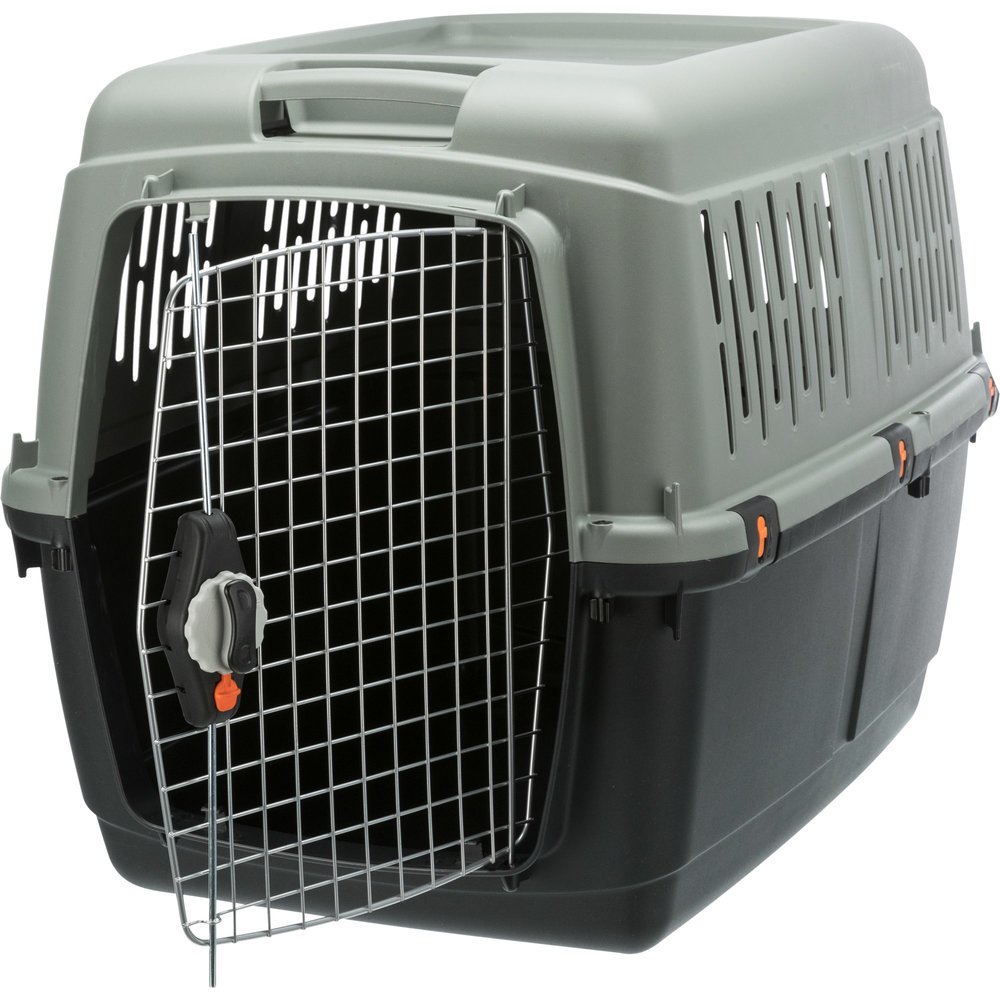 Be Eco Transportbox Flugbox Giona