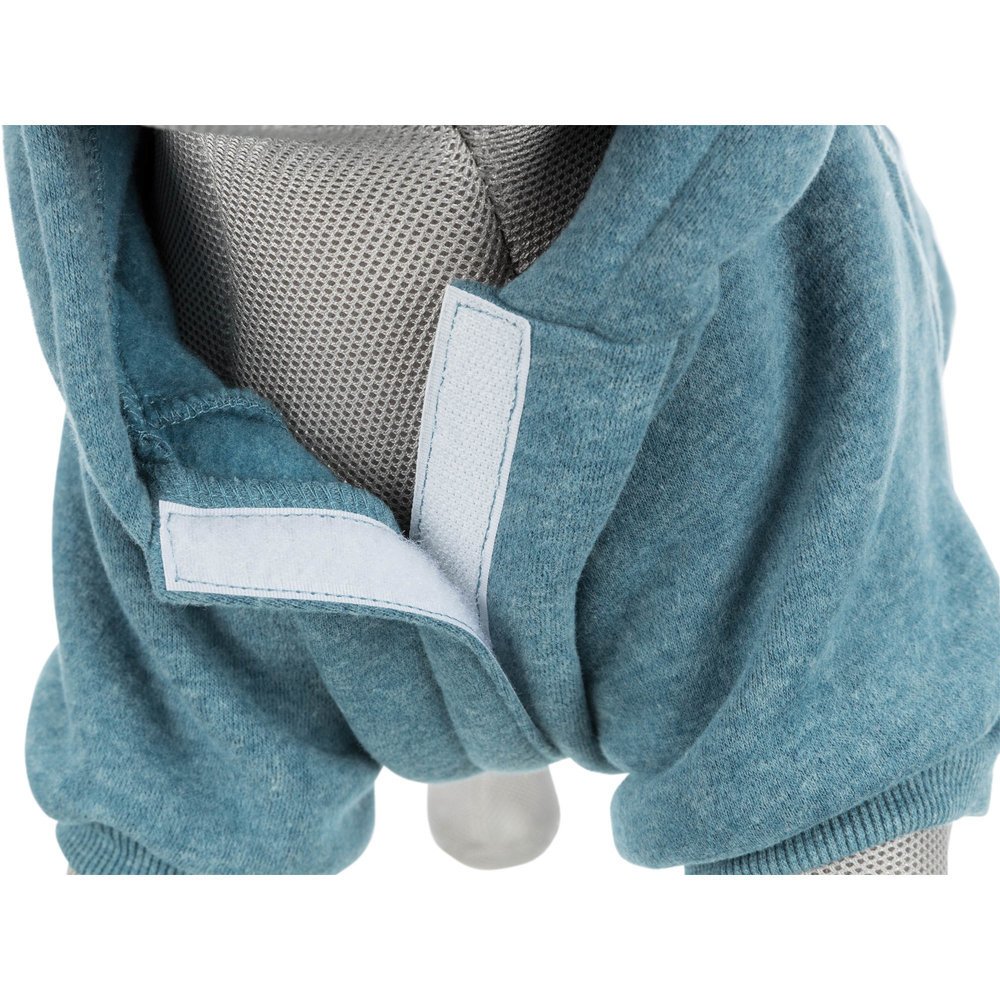 BE NORDIC Hunde Hoodie Flensburg