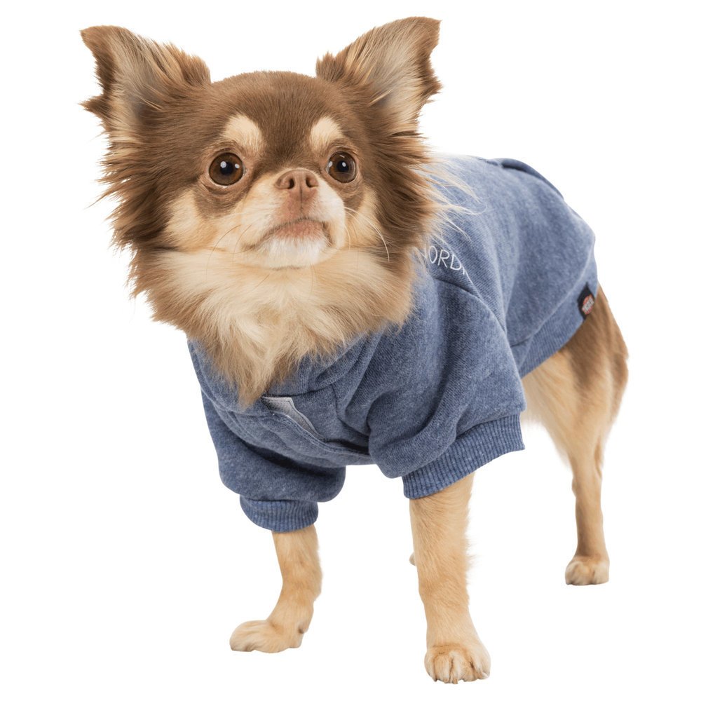 BE NORDIC Hunde Hoodie Flensburg
