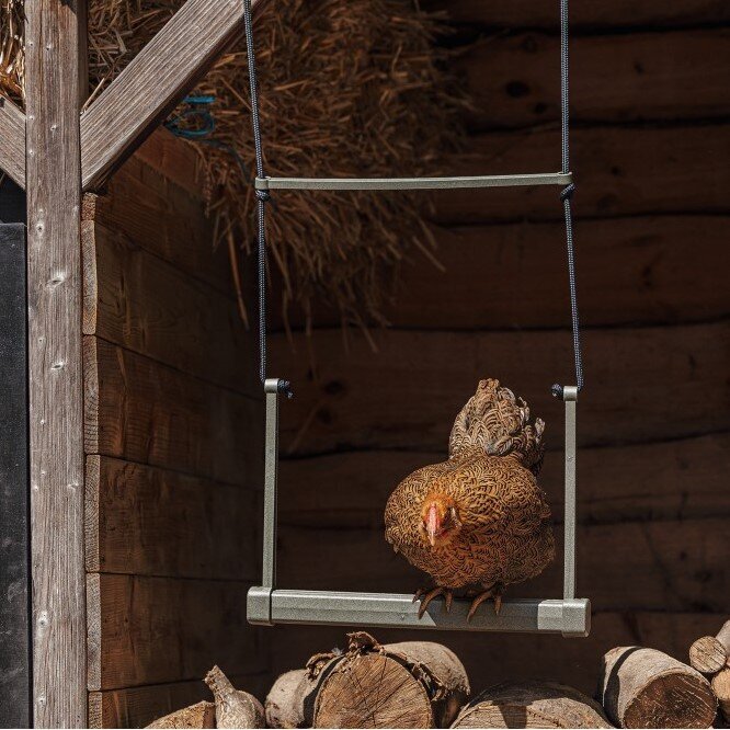 ECO recycling Hühnerschaukel