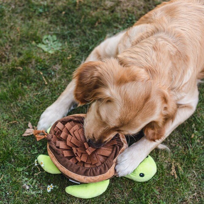 Hide and Seek Schilli Hundespielzeug