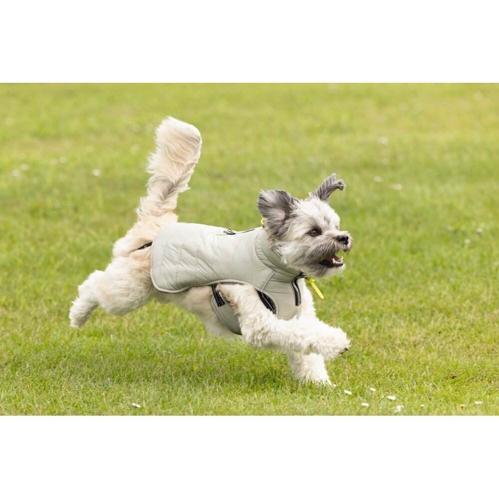 Beeztees Hundemantel Bobby