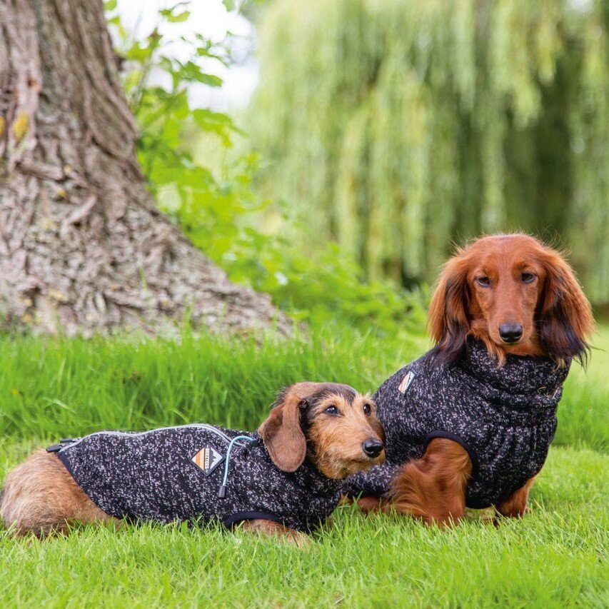 Hundepullover Celia