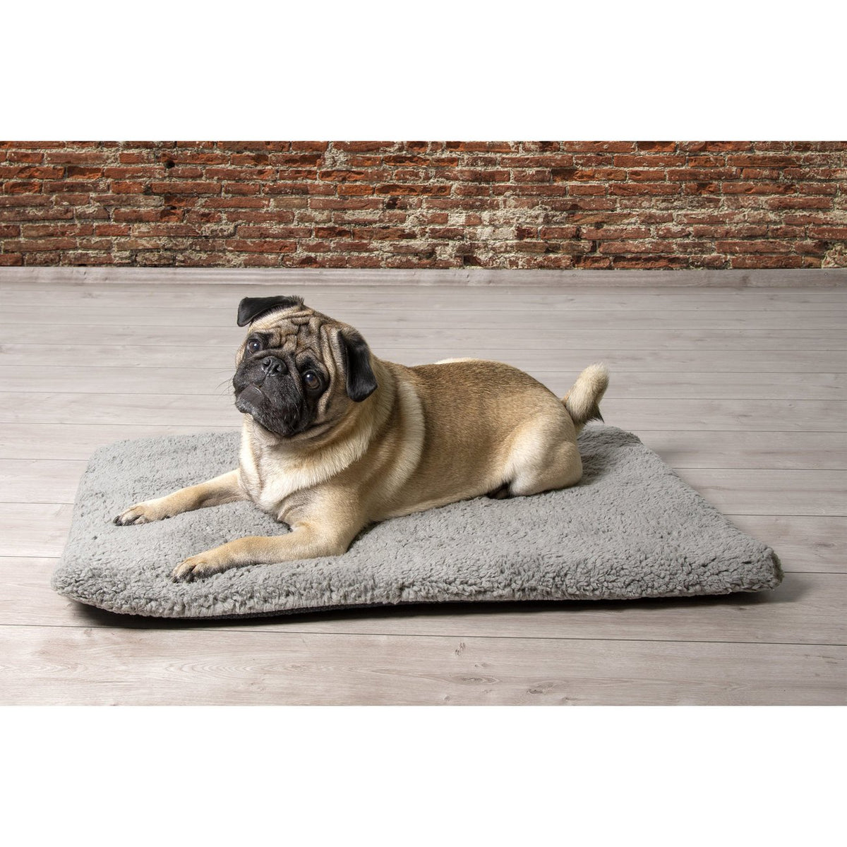 Beeztees Memoryfoam Liegekissen Ito für Hunde