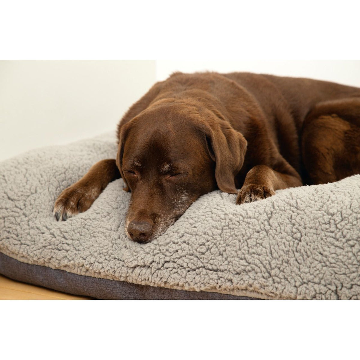 Beeztees Memoryfoam Loungekissen Ruba für Hunde