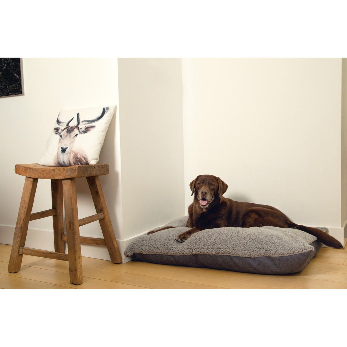 Beeztees Memoryfoam Loungekissen Ruba für Hunde