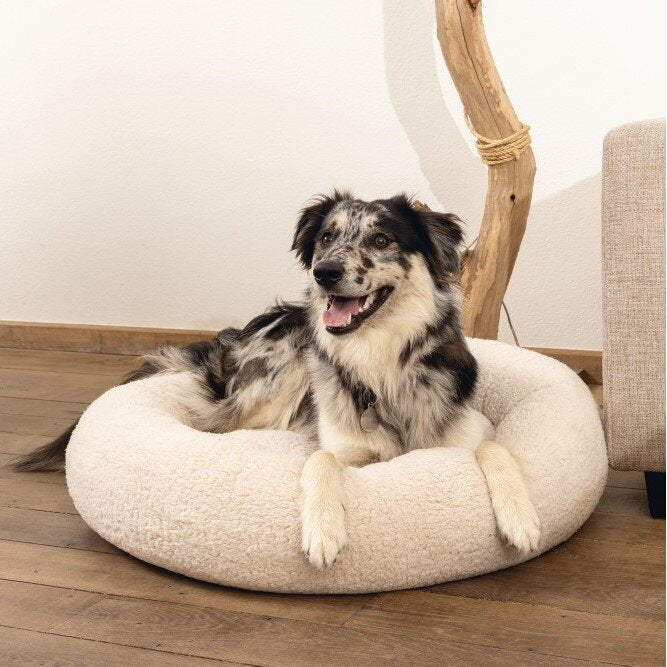 Orthopädisches Hundebett Jaxx, rund