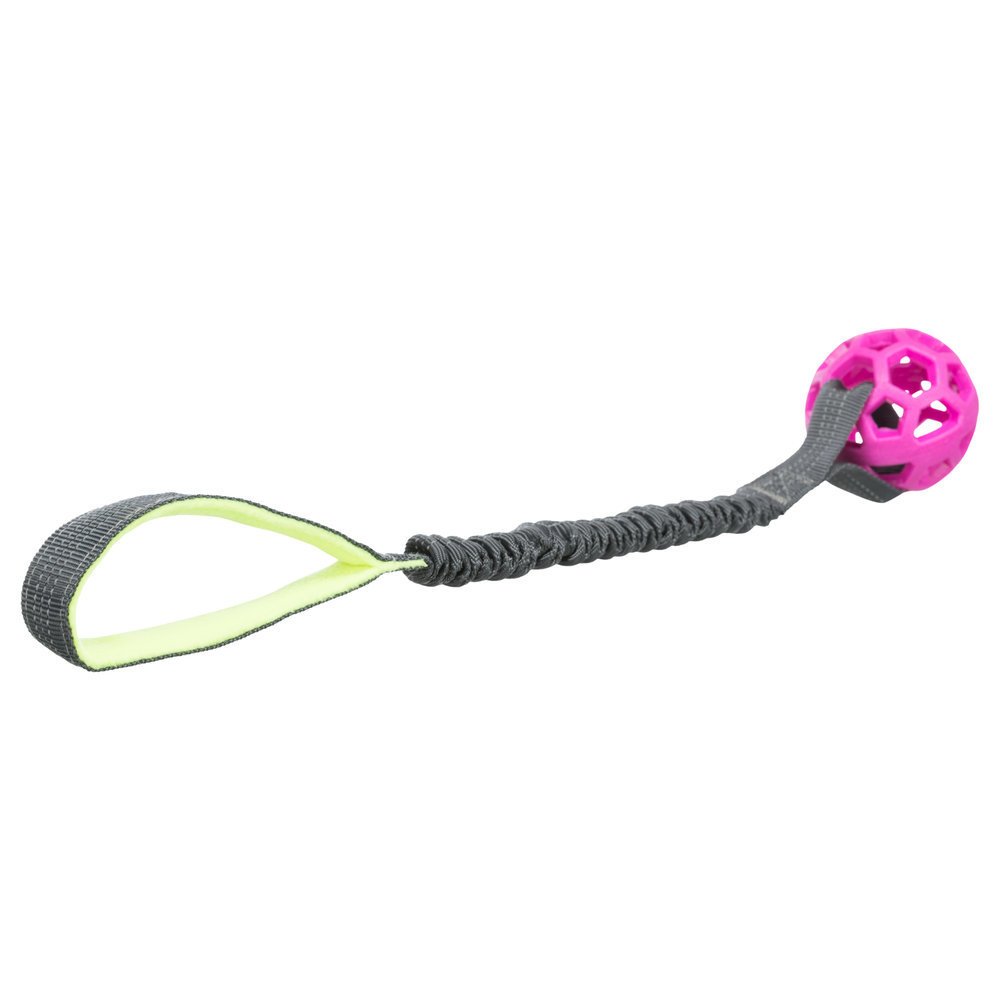 Bungee Tugger mit Ball
