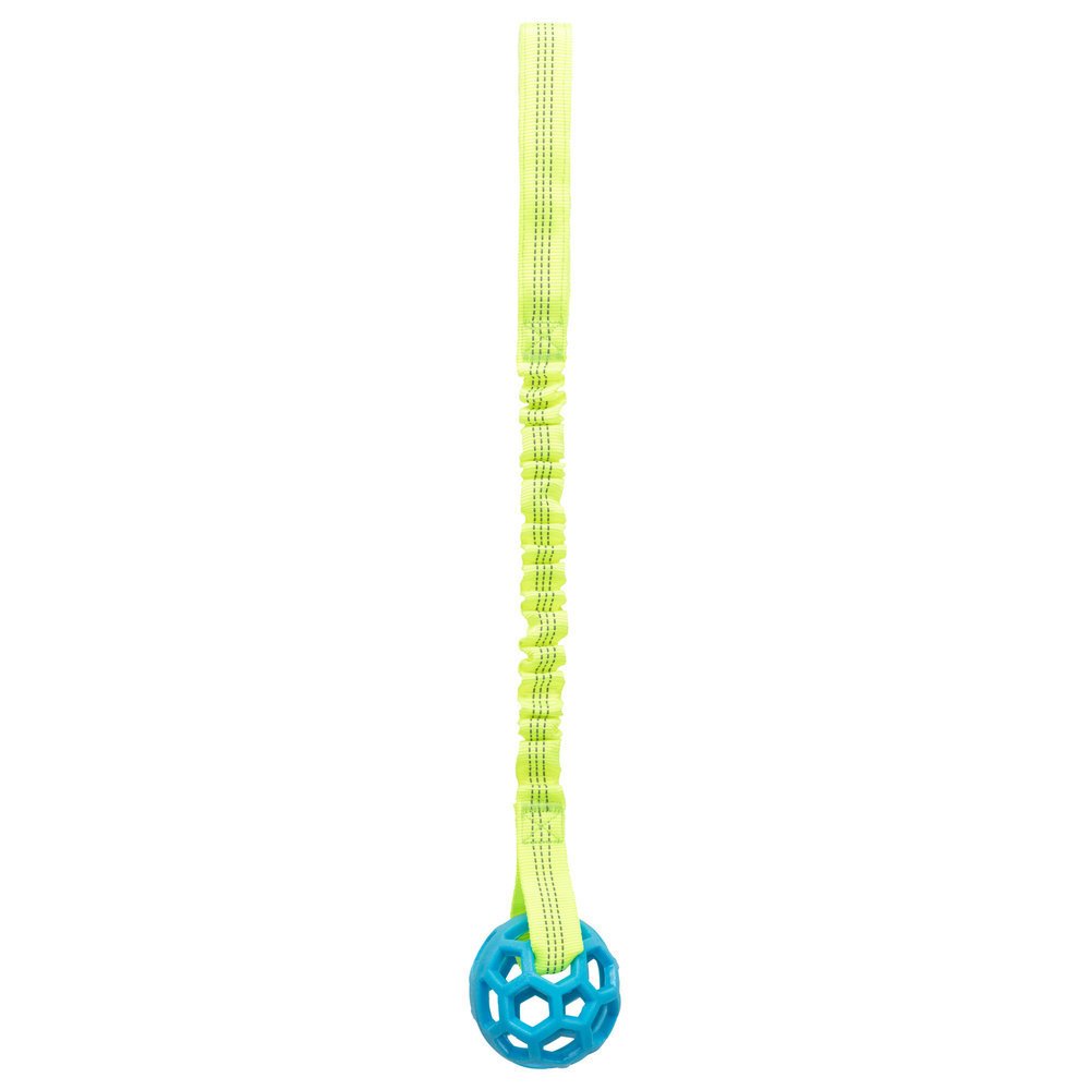 Bungee Tugger mit Ball