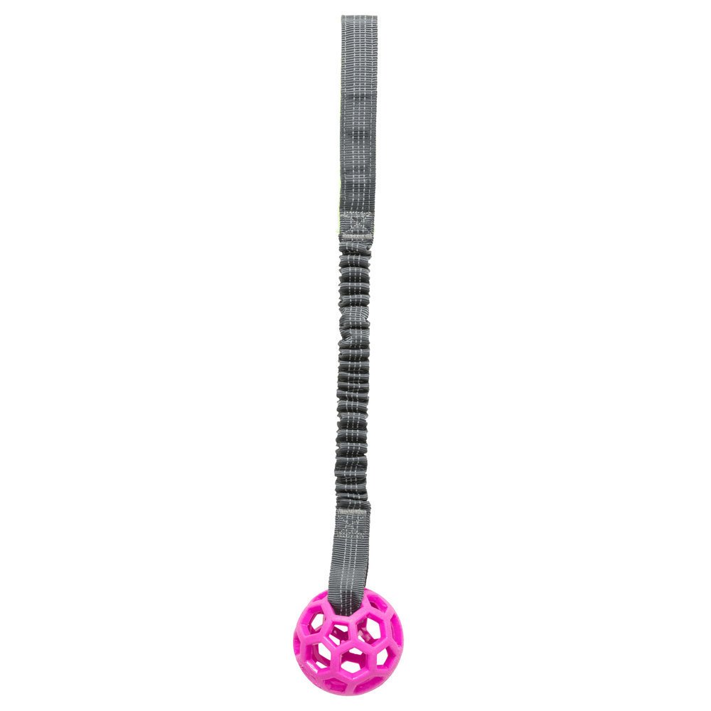 Bungee Tugger mit Ball