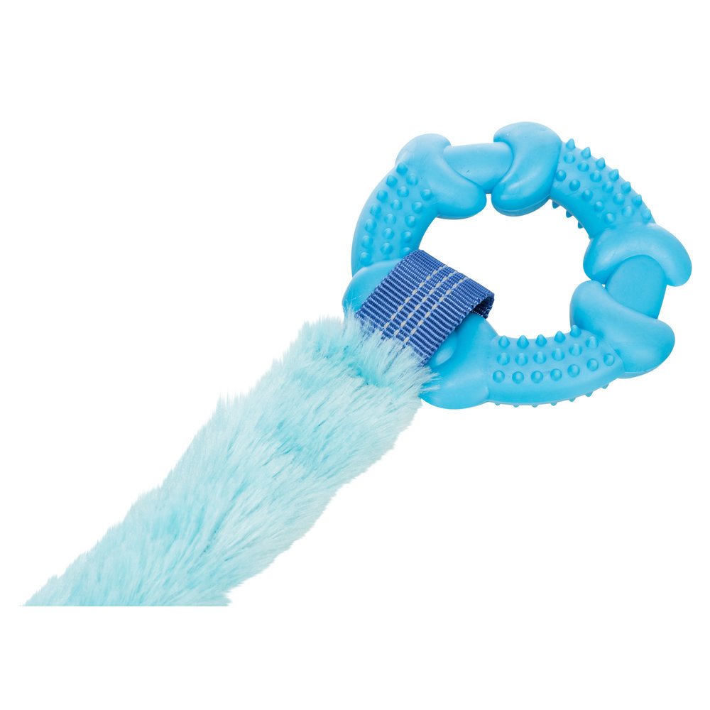 Bungee Tugger mit Ring