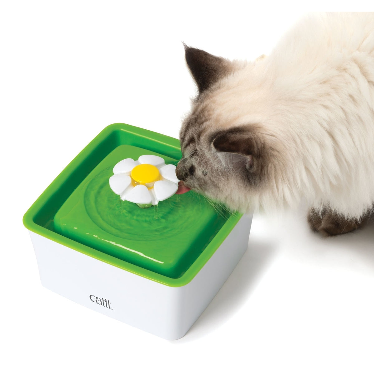 Catit Minitrinkbrunnen mit Blume – 1,5 l - B 19 x T 19 x H 9,5 cm