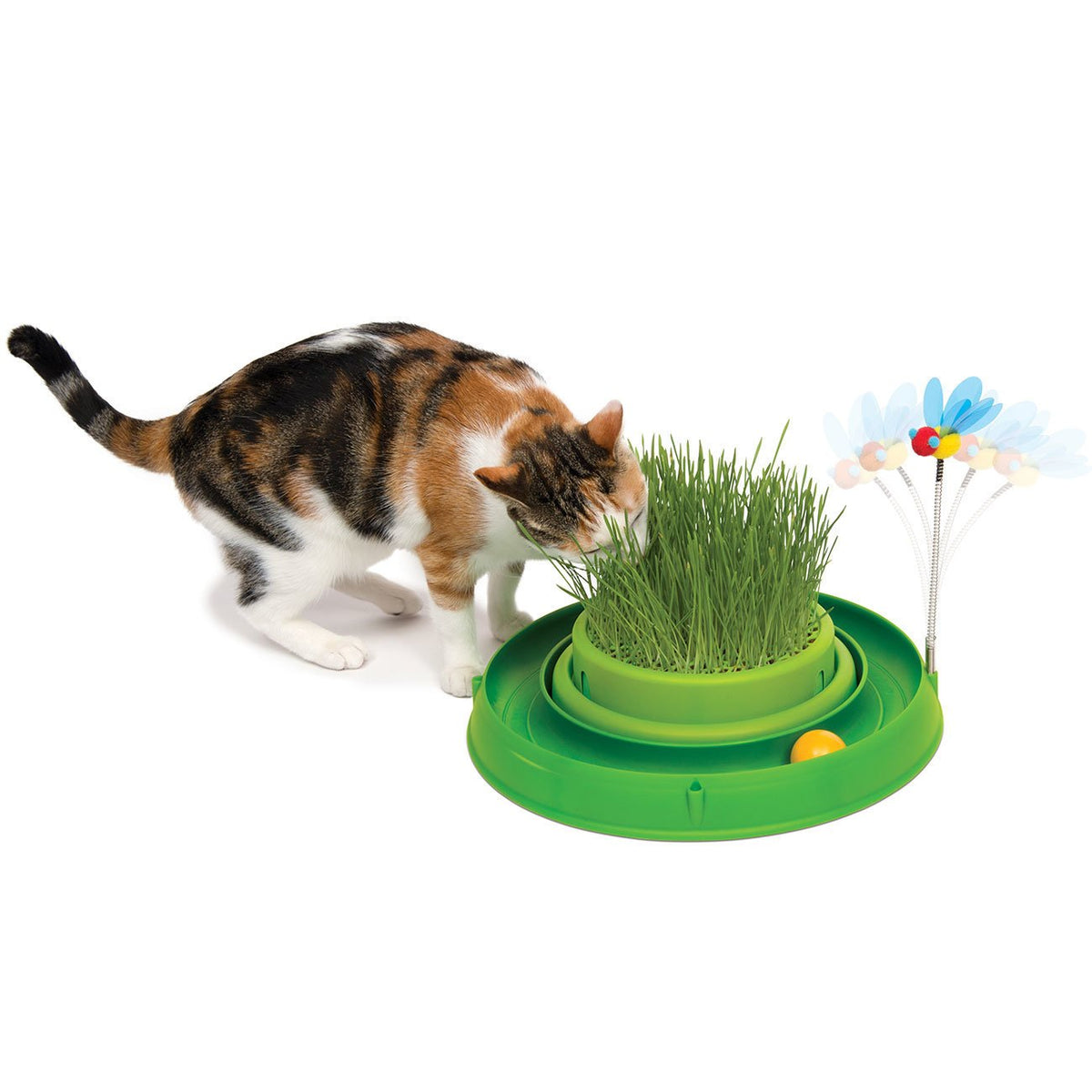 Catit Play-n-Scratch mit Biene 3in1
