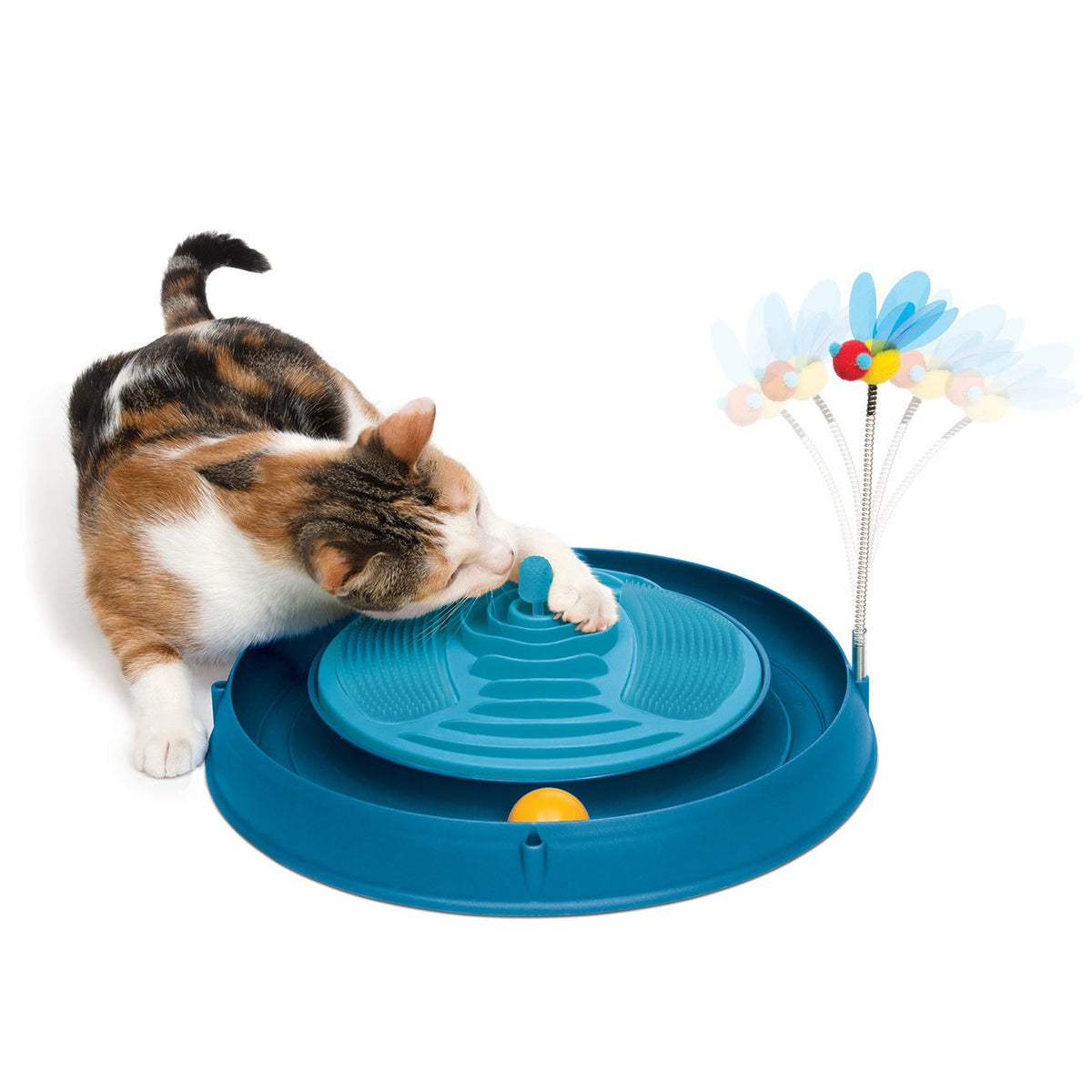 Catit Play-n-Scratch mit Biene 3in1