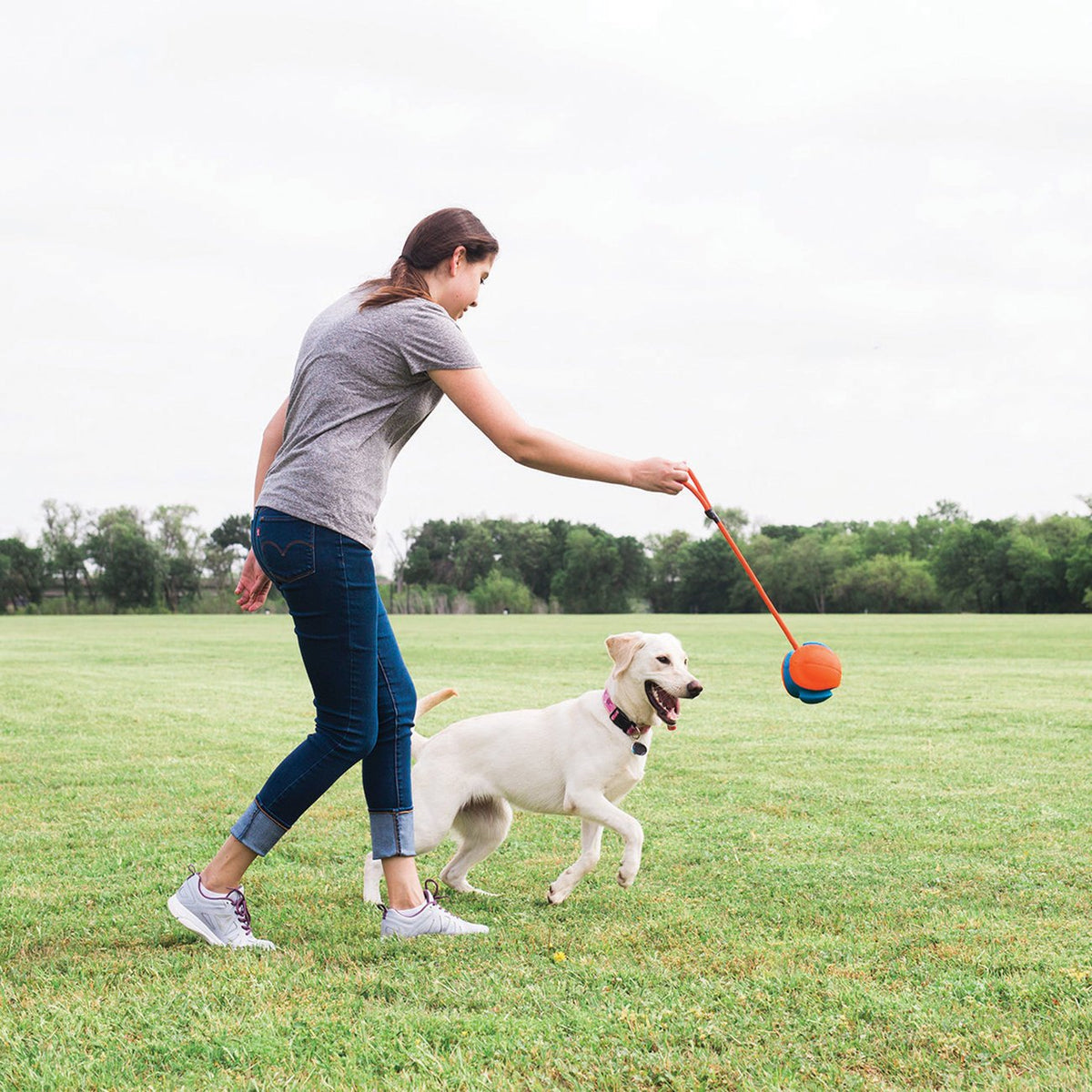Chuckit! Rope Fetch