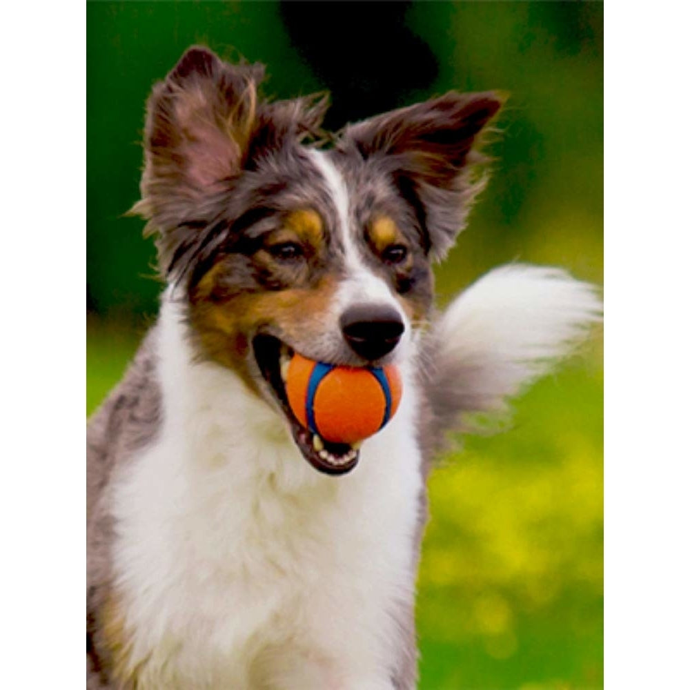 CHUCKIT! Ultra Ball