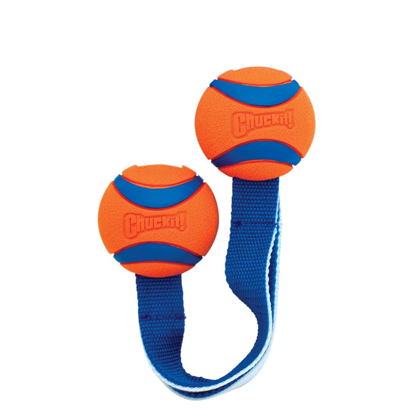 Chuckit Ultra Tug Duo Hundespielzeug
