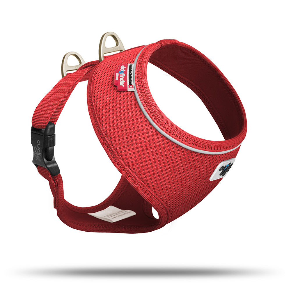 Curli Brustgeschirr Basic Air Mesh für kleine Hunde