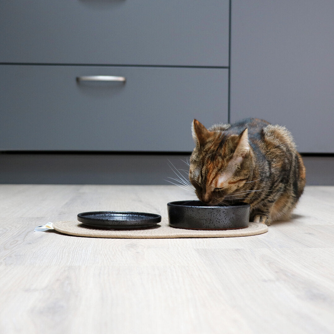 Keramiknapf Jasper für Katzen