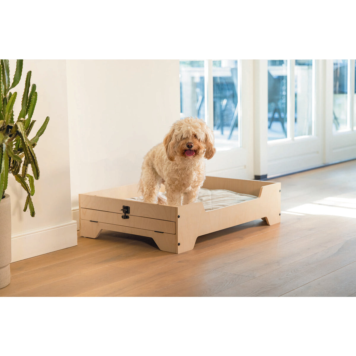 Hundekäfig mit Holzkiste, Bench Quirine
