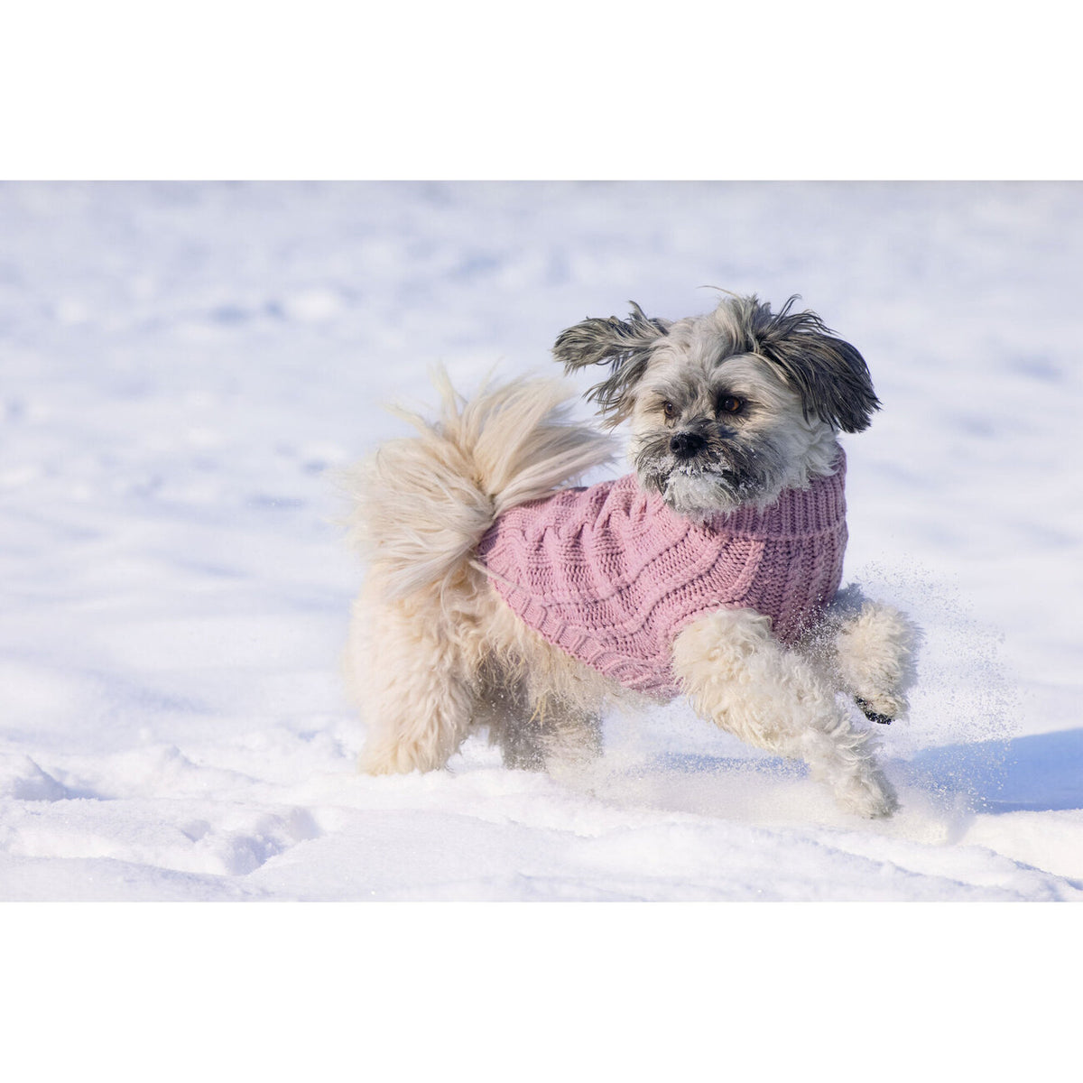 Hundepullover Haida