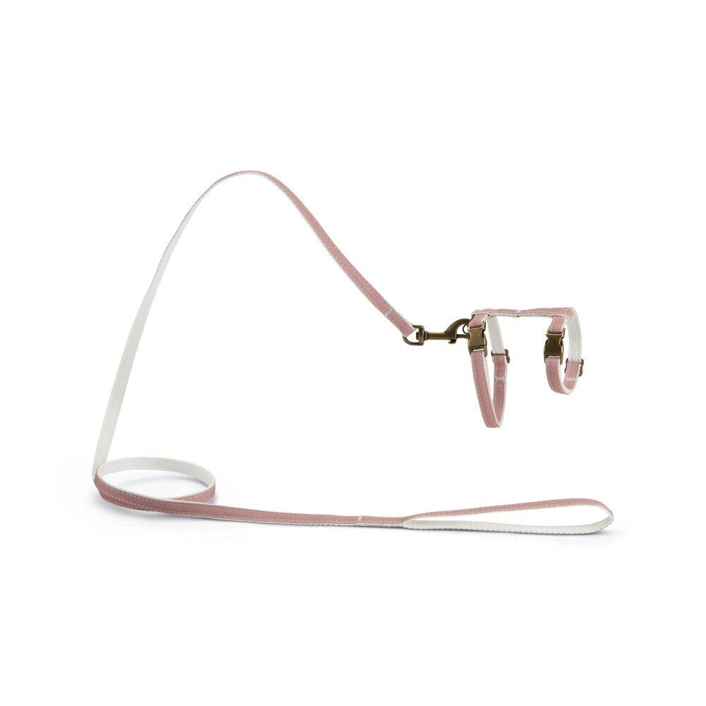 Designed by Lotte Nylongeschirr Virante