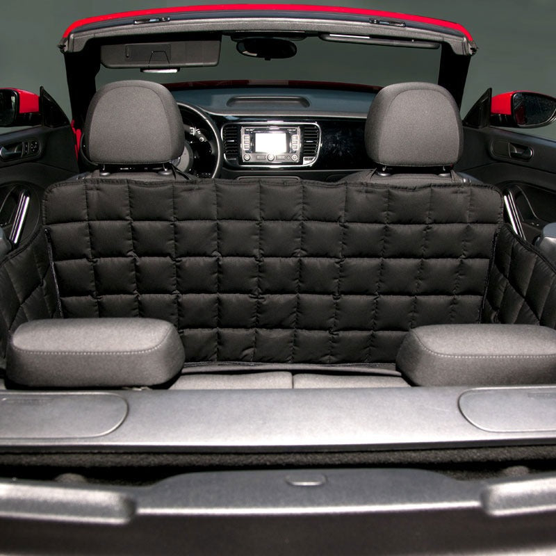 Doctor Bark 2-Sitzer 2-Türer Cabrio Autodecke